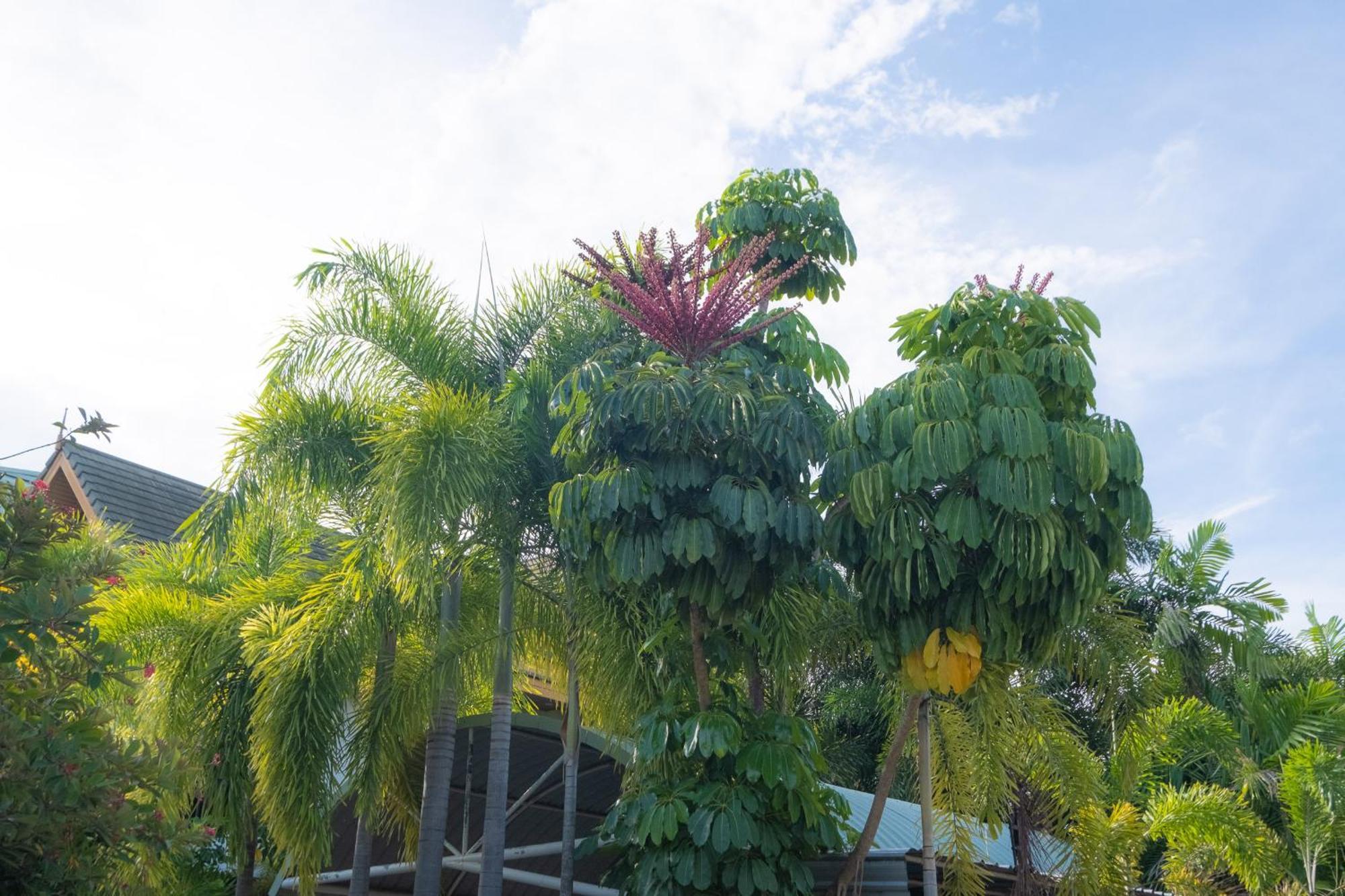 Blue Beach Grand Resort And Spa In Chalong Phuket By Dayuu Banszajjuan Kültér fotó